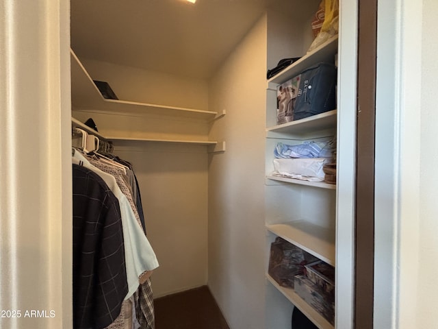 view of walk in closet