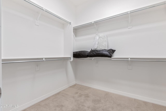 30056 N 129th Ave, Peoria, AZ 85383 - spacious closet with light carpet