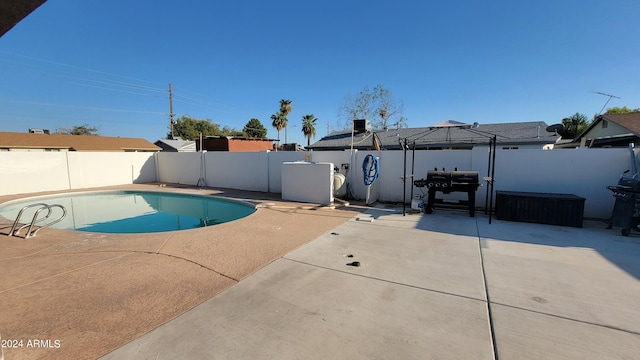 view of swimming pool with a patio