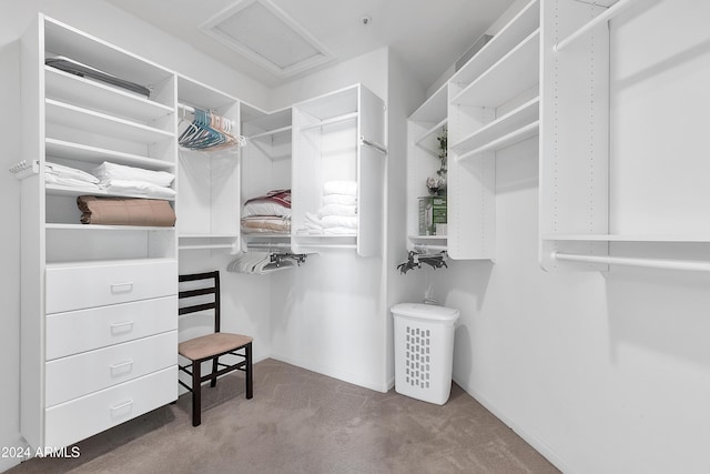 spacious closet with carpet flooring