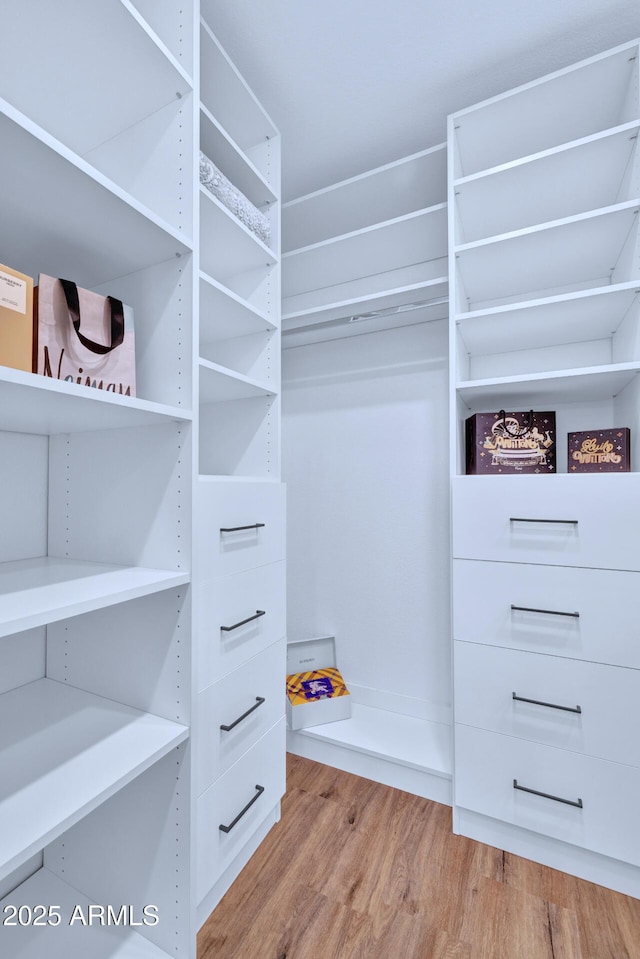 spacious closet featuring light hardwood / wood-style flooring