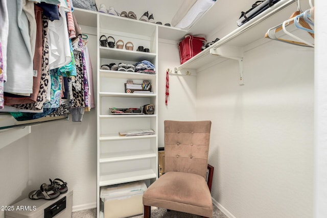 11312 E Newcastle Ave, Mesa, AZ 85209 - walk in closet featuring carpet floors