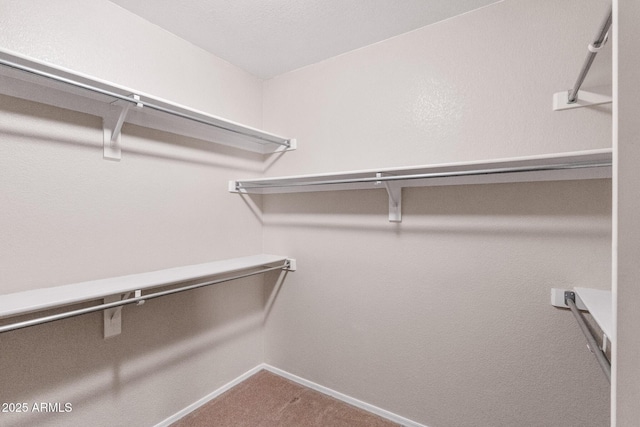300 W Cardinal Way, Chandler, AZ 85286 - walk in closet with carpet flooring
