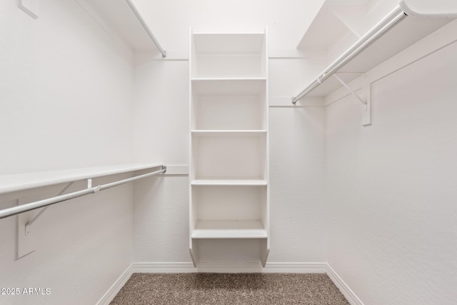 spacious closet with carpet flooring