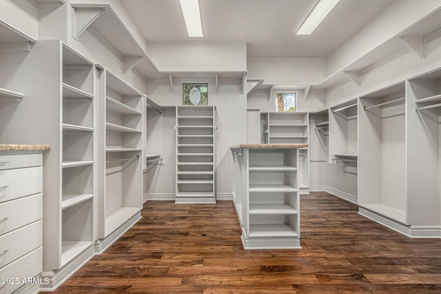 walk in closet featuring dark hardwood / wood-style flooring