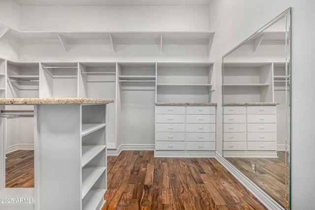 walk in closet with dark hardwood / wood-style floors