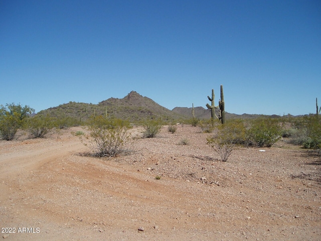 31455 W Painted Wagon Trl Unit 193, AZ, 85361 land for sale