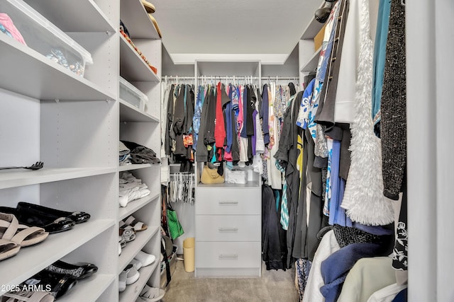 spacious closet featuring light colored carpet