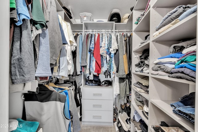 view of spacious closet