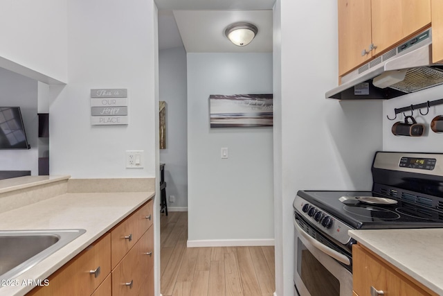 14203 N 19th Ave Unit 2036, Phoenix, AZ 85023 - kitchen with stainless steel electric range oven, under cabinet range hood, light wood-style floors, baseboards, and light countertops