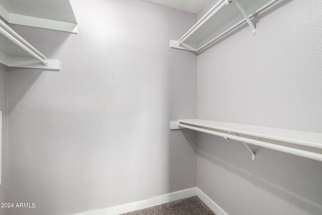 spacious closet with carpet