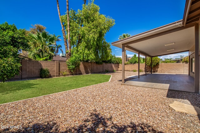 view of yard featuring a patio area