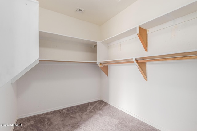 18359 W Eva St, Waddell, AZ 85355 - walk in closet with carpet flooring