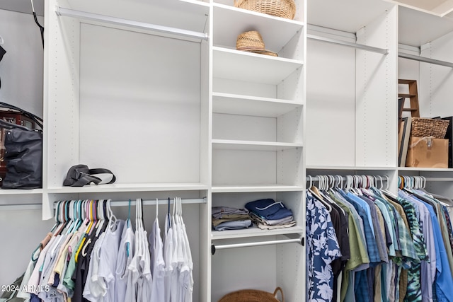 view of walk in closet