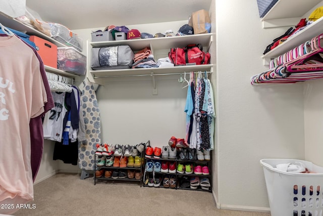 4034 E Mine Shaft Rd, San Tan Valley, AZ 85143 - spacious closet with carpet flooring