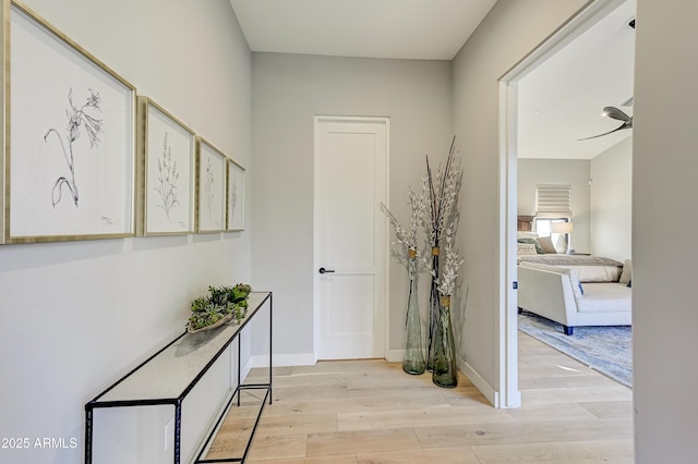 hallway featuring light wood-type flooring