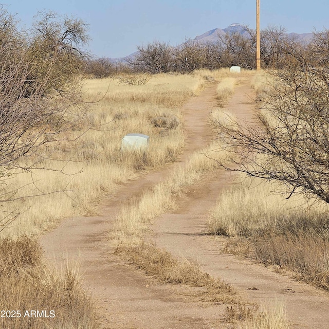 TBD W Conaway Cir Unit 206, Benson AZ, 85602 land for sale