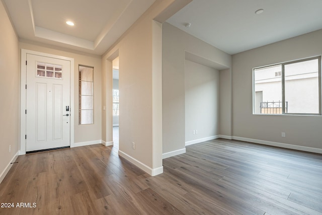 foyer with hardwood / wood-style floors, a raised ceiling, and a healthy amount of sunlight