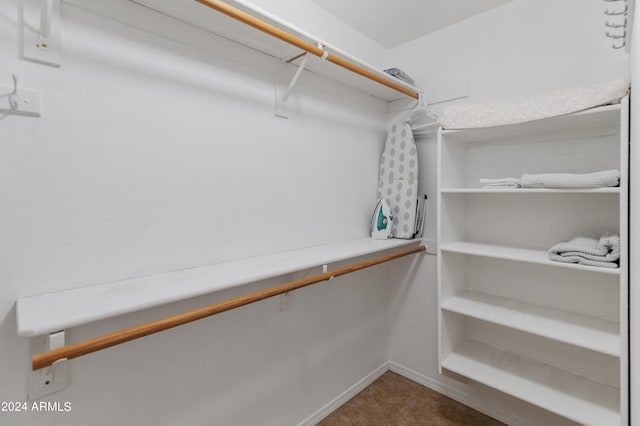 spacious closet with carpet flooring