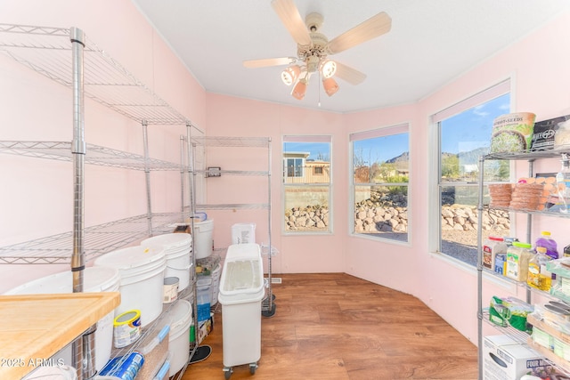 storage area with ceiling fan