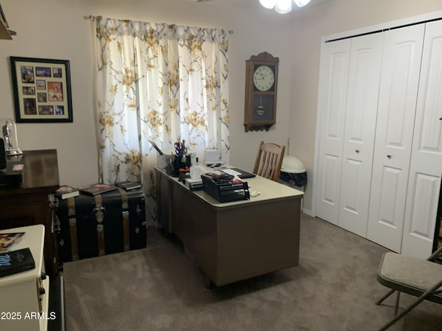 view of carpeted home office