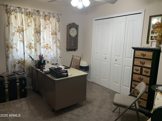 home office with ceiling fan and carpet flooring