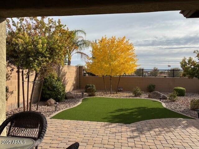 view of yard with a patio