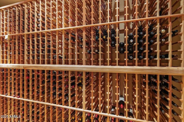 view of wine cellar