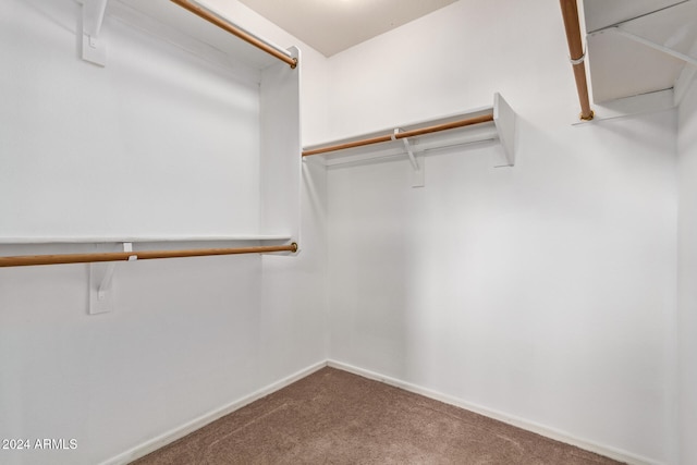 spacious closet with carpet floors