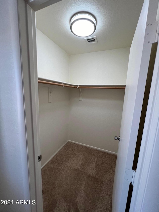 walk in closet featuring carpet floors