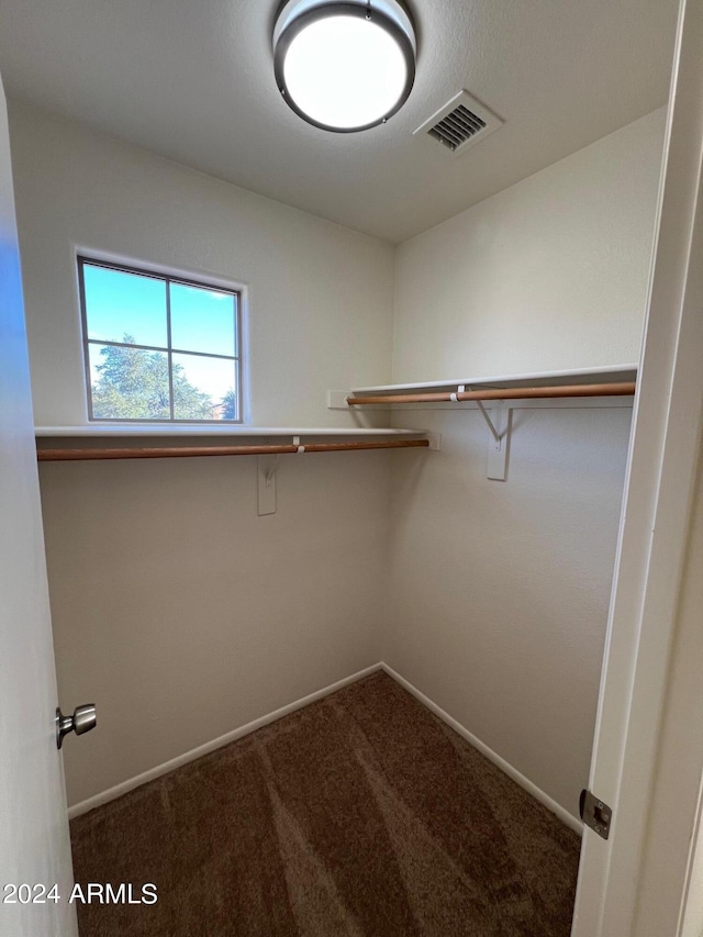 spacious closet with carpet floors