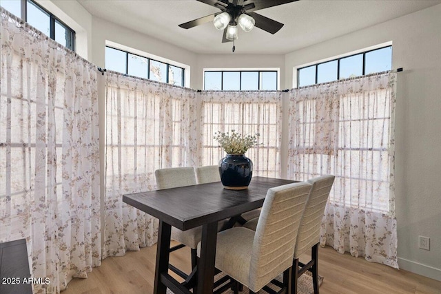 dining space featuring light wood-type flooring and ceiling fan