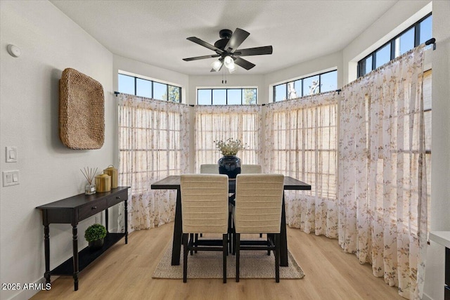 dining space featuring light hardwood / wood-style floors and ceiling fan