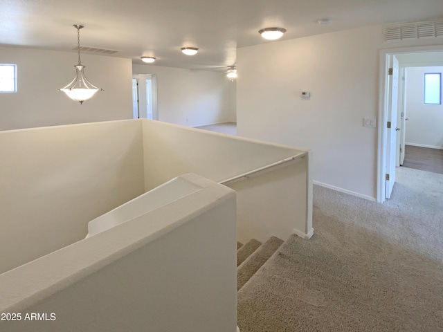 staircase featuring carpet