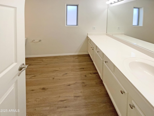 bathroom featuring wood-type flooring and vanity