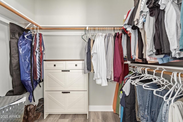 spacious closet with wood finished floors