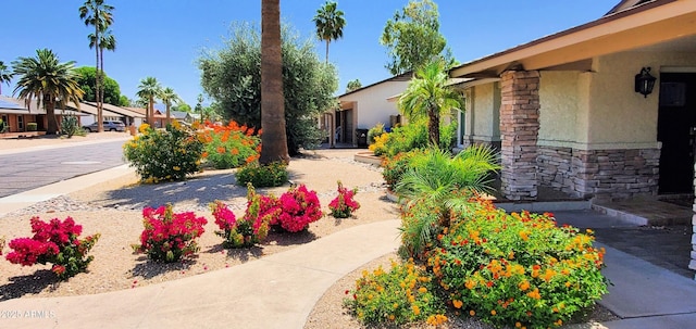 4617 E Emile Zola Ave, Phoenix, AZ 85032 - view of yard