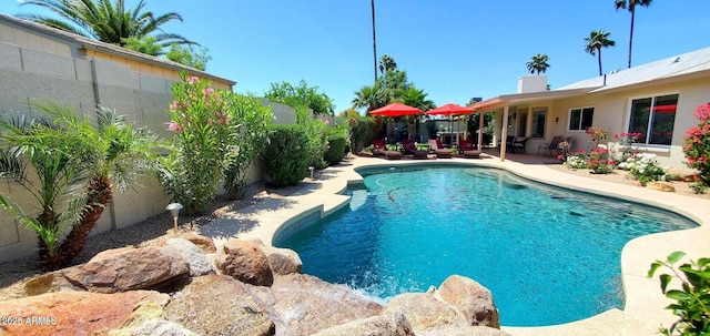 4617 E Emile Zola Ave, Phoenix, AZ 85032 - view of swimming pool featuring a patio area
