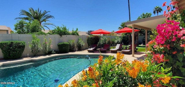 4617 E Emile Zola Ave, Phoenix, AZ 85032 - view of pool with a fenced backyard