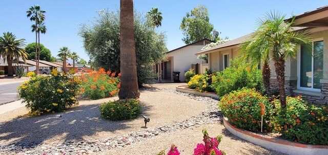 4617 E Emile Zola Ave, Phoenix, AZ 85032 - view of yard