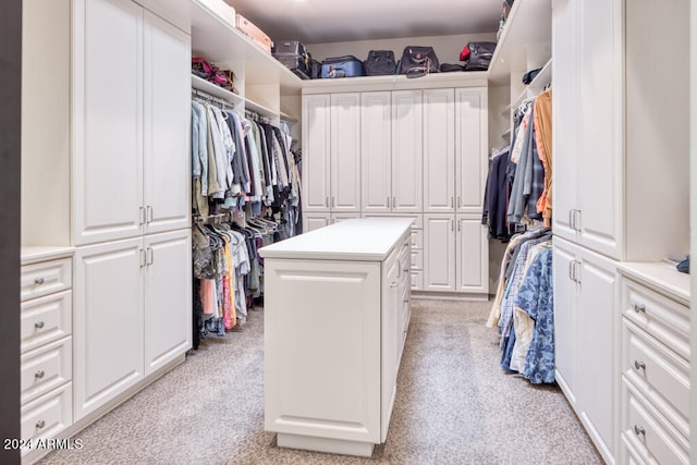 spacious closet featuring light colored carpet