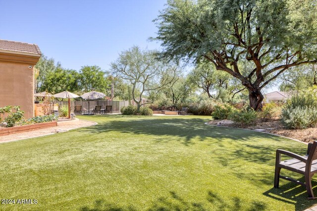 7101 E Berneil Ln, Paradise Valley, AZ 85253 - view of yard