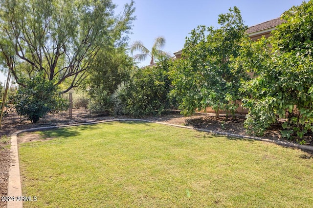 7101 E Berneil Ln, Paradise Valley, AZ 85253 - view of green lawn