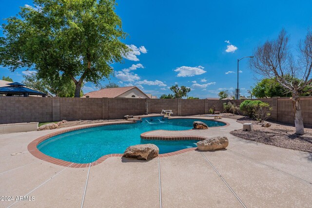 view of swimming pool with a patio