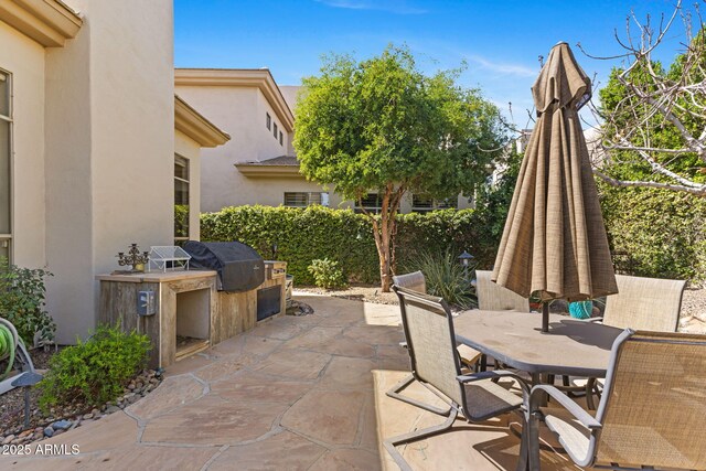 view of patio / terrace with outdoor dining space, a grill, and area for grilling