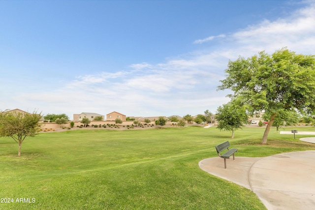 view of home's community featuring a yard