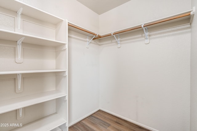 spacious closet featuring wood-type flooring