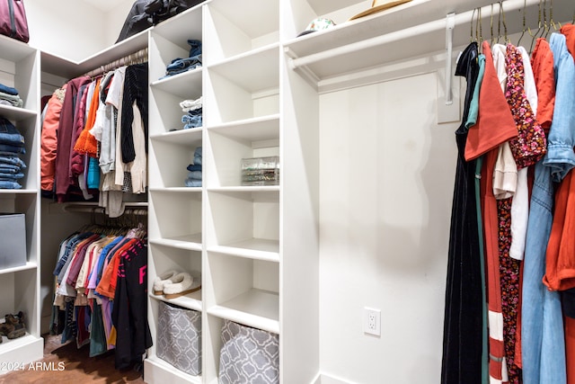 walk in closet with wood-type flooring