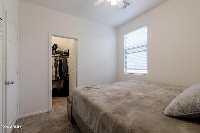 carpeted bedroom with a walk in closet, a closet, and ceiling fan