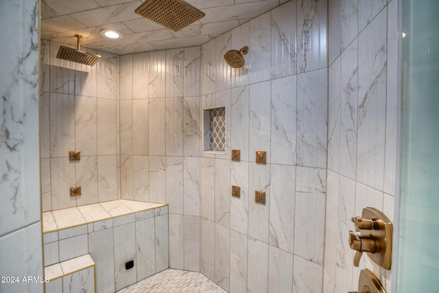 830 E Maverick, Taylor, AZ 85939 - bathroom with tiled shower